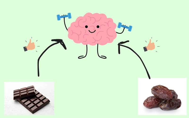 Schokolade und Datteln versorgen das Gehirn