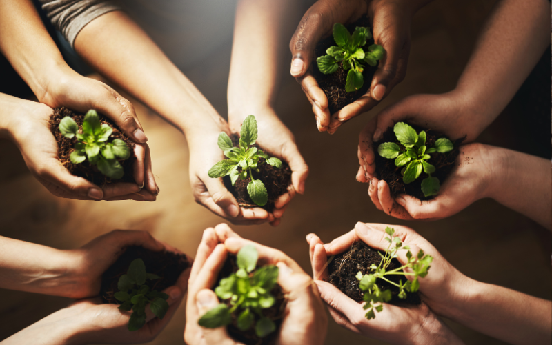 Dattelschokolade als Zero-Waste-Star: Wie du beim Snacken nachhaltig bleibst