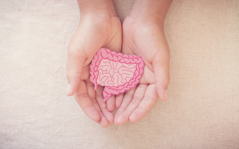 Schokolade für den Darm – Warum dunkler Kakao deiner Darmflora schmeckt