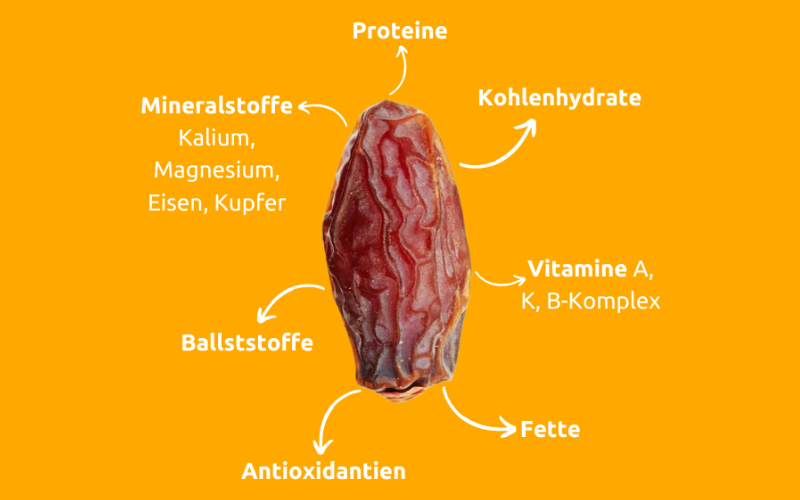 Datteln und ihre Nährstoffe