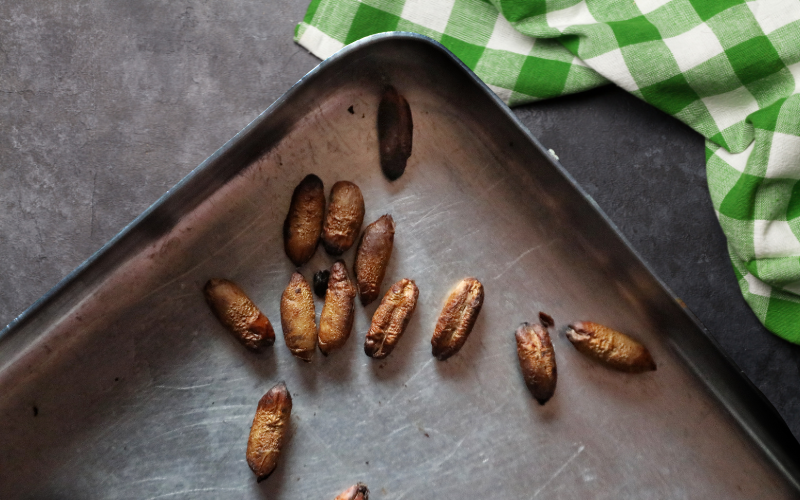 Was kann man aus Dattelkernen machen?