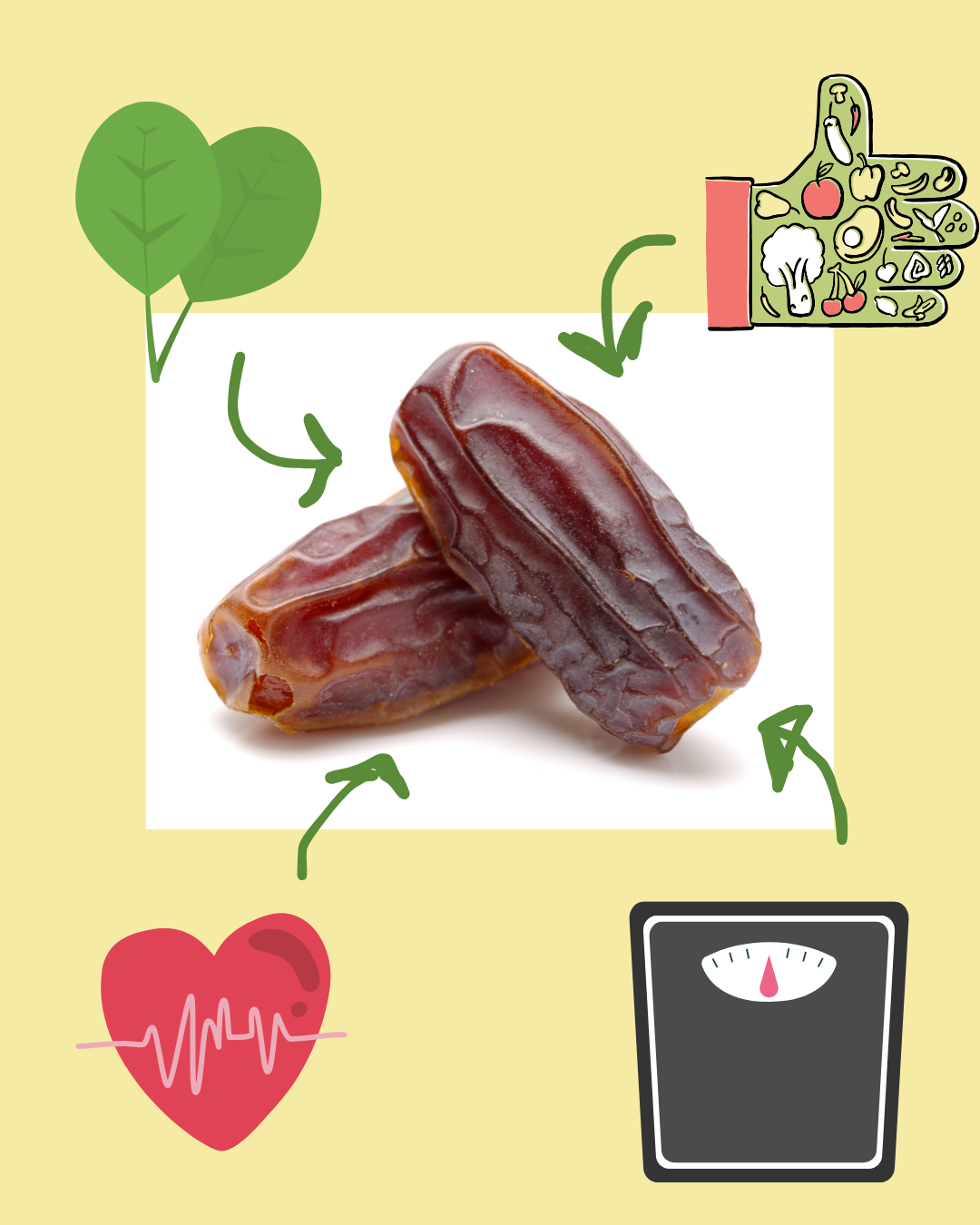 Datteln wirken sich positiv auf die Gesundheit aus.