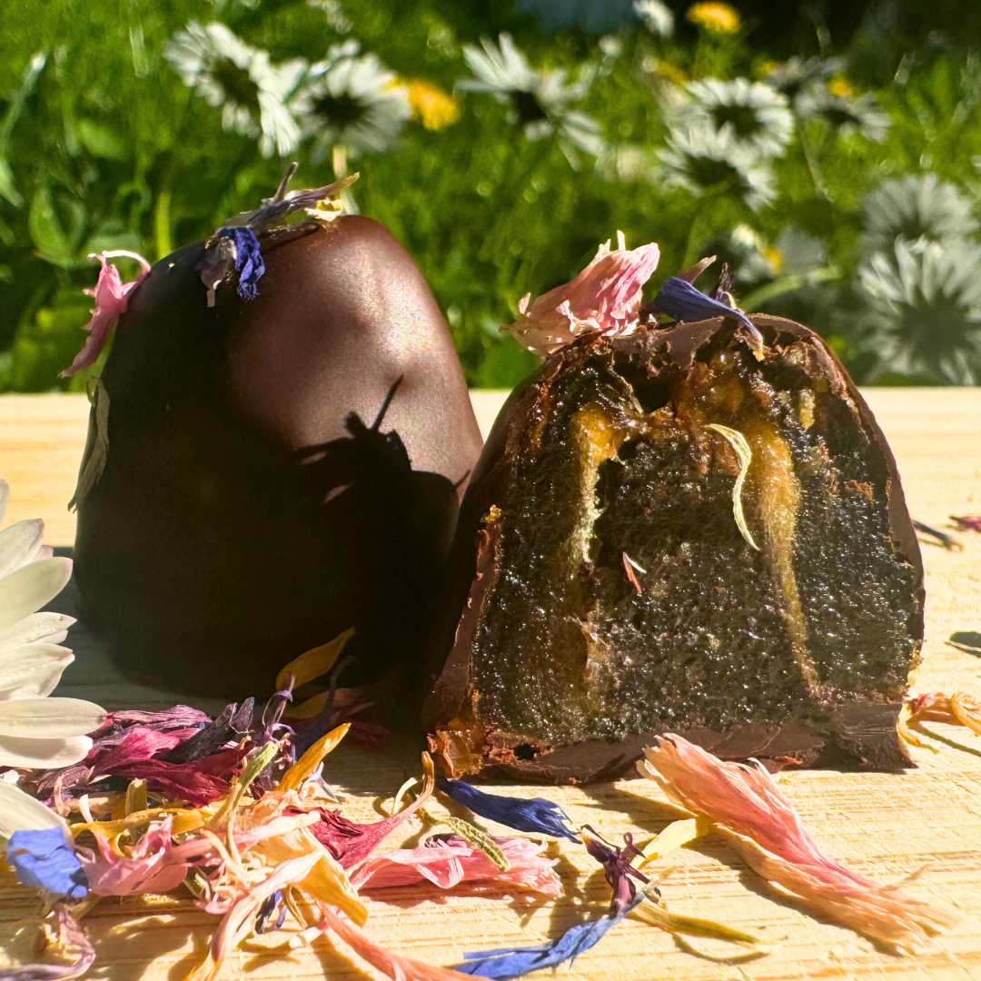 Praline des Monats: Mohn Vanille (Bio)