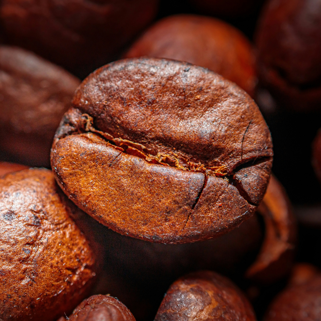 Die Aromen von Kaffee kommen genau dann besonders gut zur Geltung, wenn das Umfeld stimmt: Mit Medjool Dattel und dunklem Kakao schafft djoon genau das
