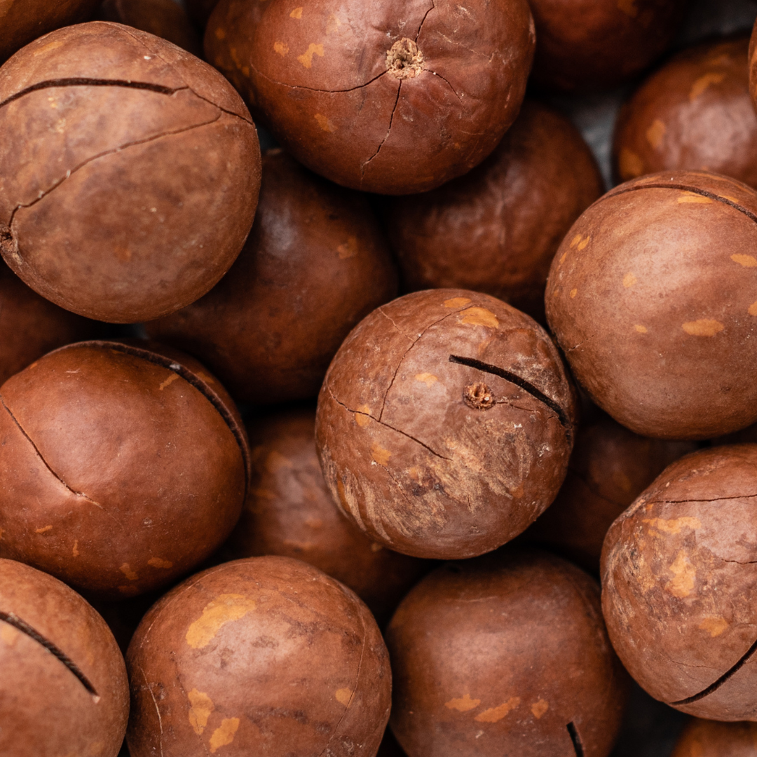 Von allen geliebt für dich perfektioniert: die Macadamia schmeckt djoon geröstet nach Luxus pur