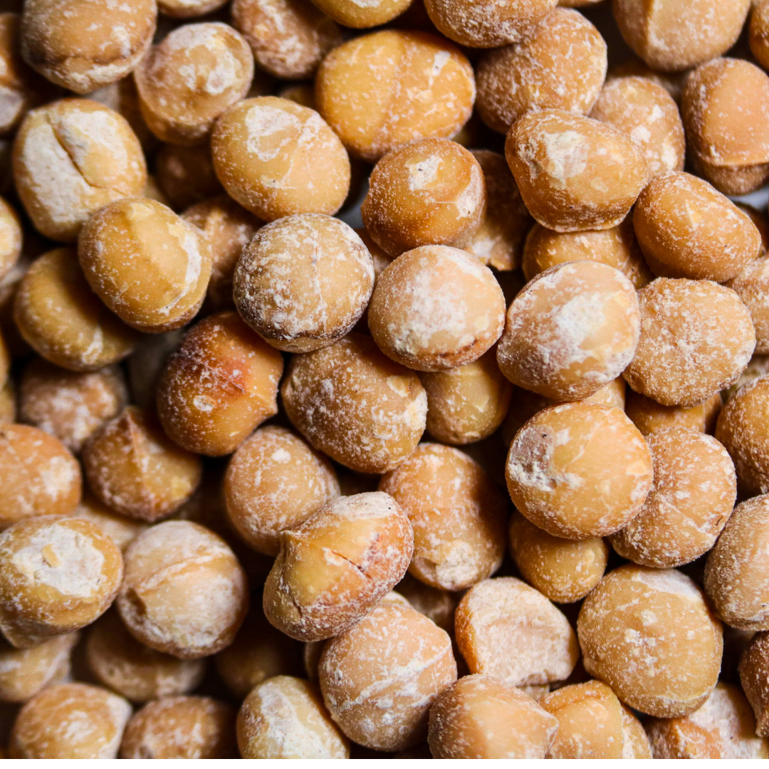 Die Macadamianüsse werden geröstet, langsam und schonend, bevor sie die Füllung der djoon Pralinen werden