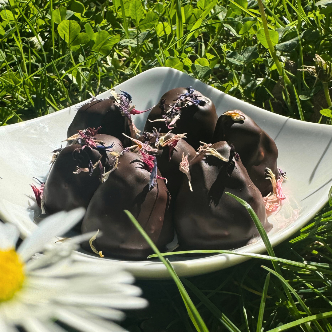 Praline des Monats: Mohn Vanille (Bio) - 3 Schachteln (Wiederverkäufer)
