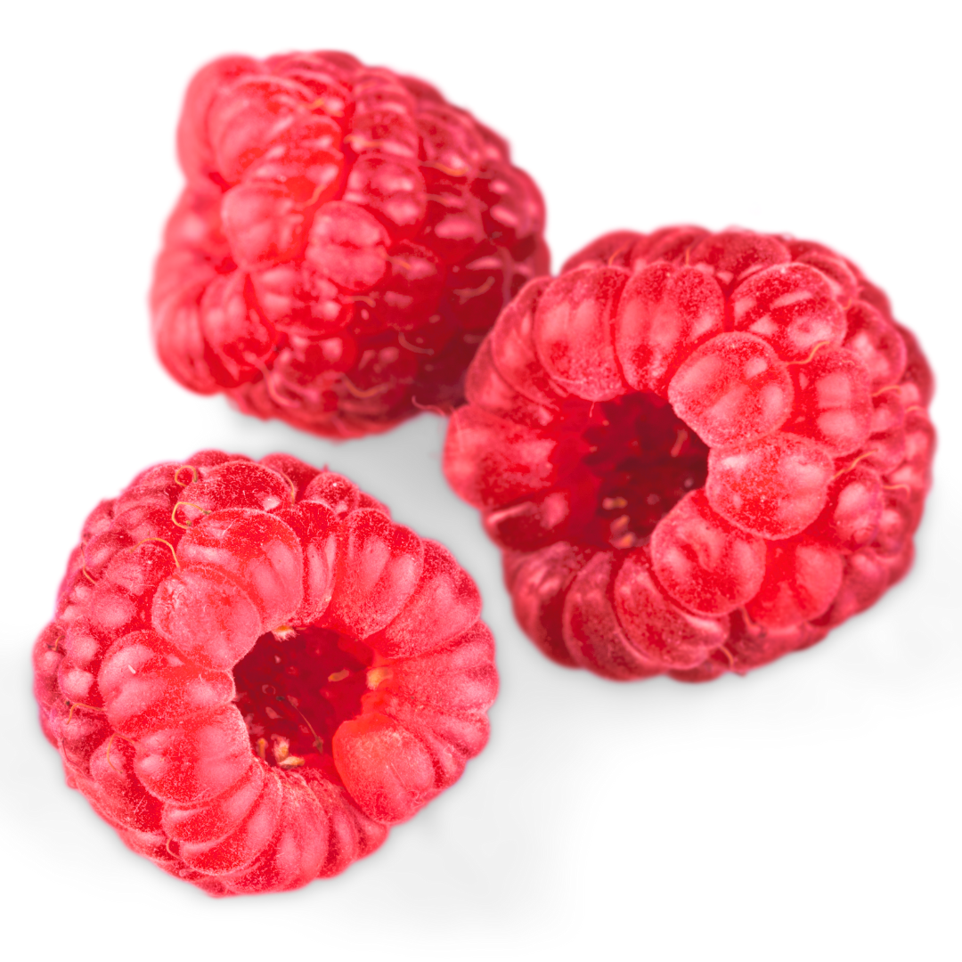 Die saftigen Himbeeren der djoon Himbeerpralinen sind aus kontrolliert biologischem Anbau