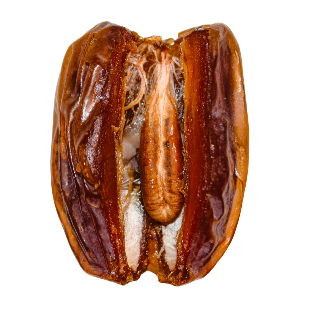 Im Inneren der Medjool Dattel steckt die cremigste und leckerste Füllung, die du dir mit gesalzenen Erdnüssen nur vorstellen kannst - bio, vegan und ohne Zuckerzusatz
