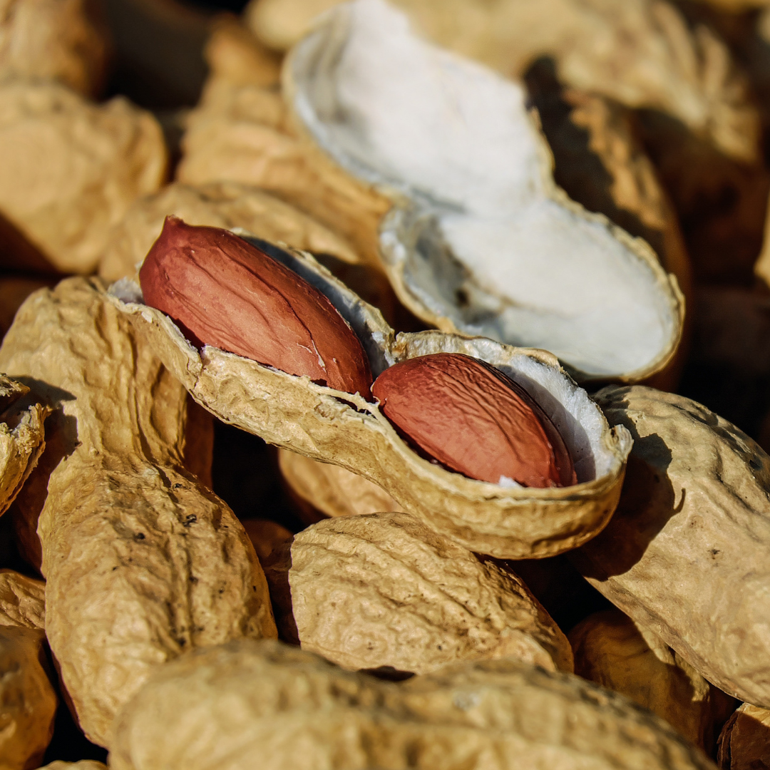 Erdnüsse in der Schale super getarnt als Nuss, obwohl doch eigentlich Schalenfrucht in ihr steckt und jede Menge Geschmack für unsere djoon Dattelpraline
