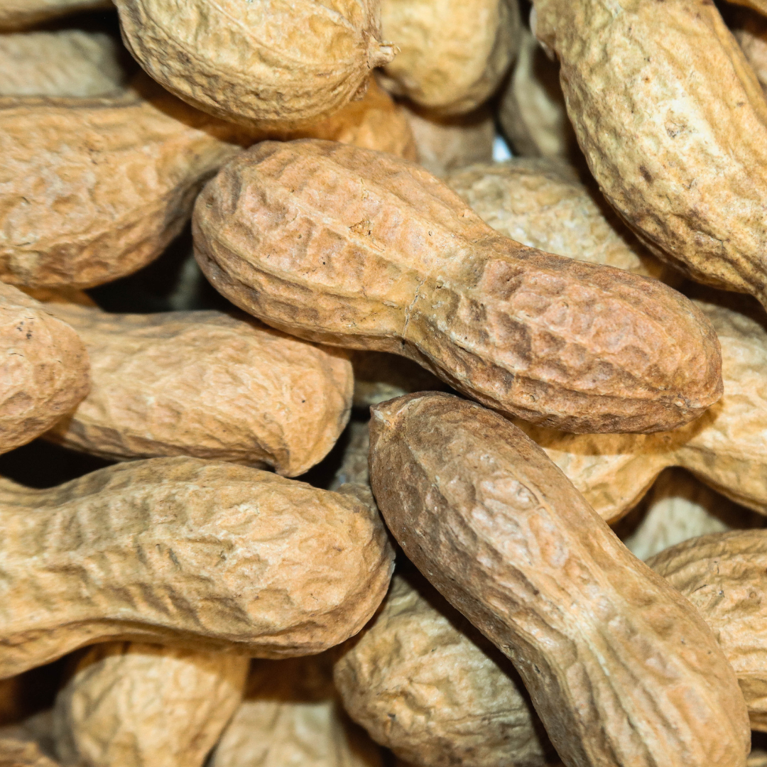Erdnüsse sind die Basis der Salted Peanut Praline mit all ihrer natürlichen Power an Nährwerten