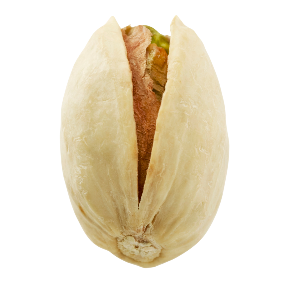 Pistazien sind essbaren Samen des Pistazienbaums, der bis zu 12 Meter hoch wächst und genau dort kommen die Pistazien deiner Dattelpraline her.