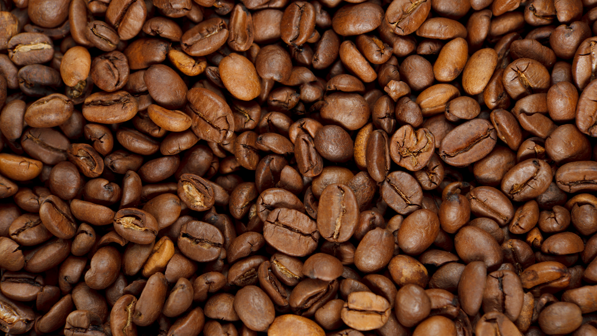 Fairtrade Kaffeebohnen aus höchster Qualität als Pralinenfüllung.