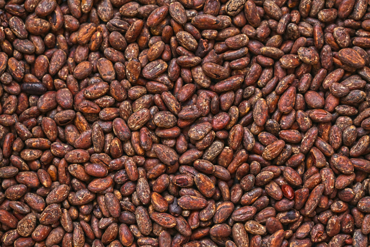 Entdecke die gesundheitlichen Wunder von Kakao: Schokoladiges Superfood für Körper und Seele