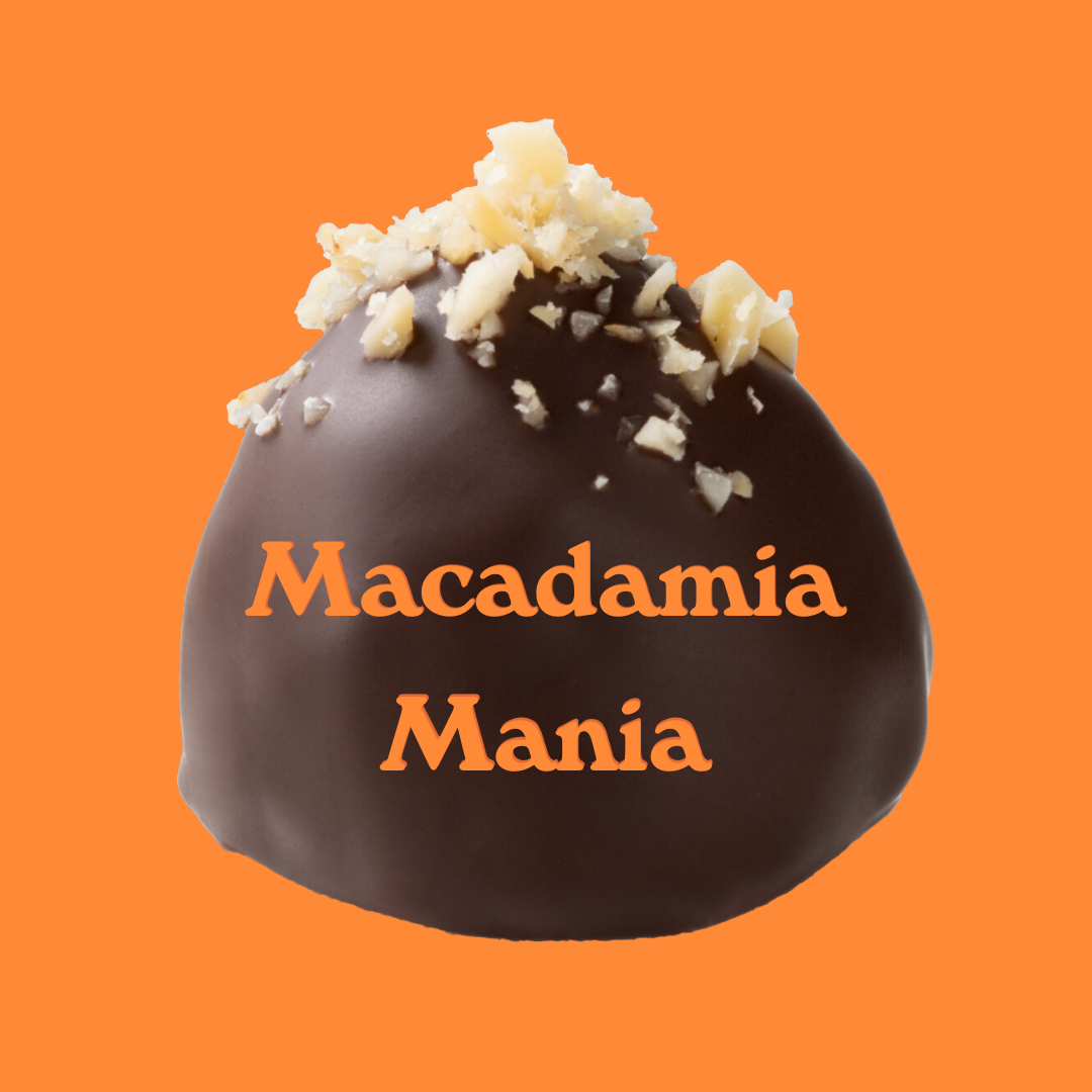 Bio-Dattelpralinen: Macadamia Mania
