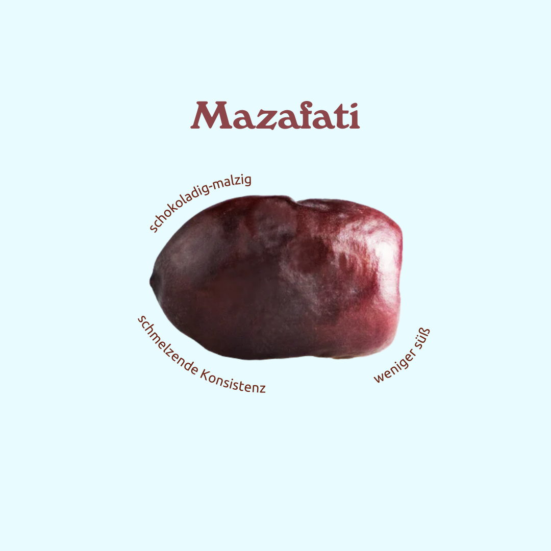 Dattel Probierbox (Bio)