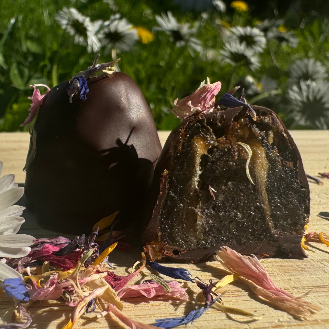 Praline des Monats: Mohn Vanille (Bio)